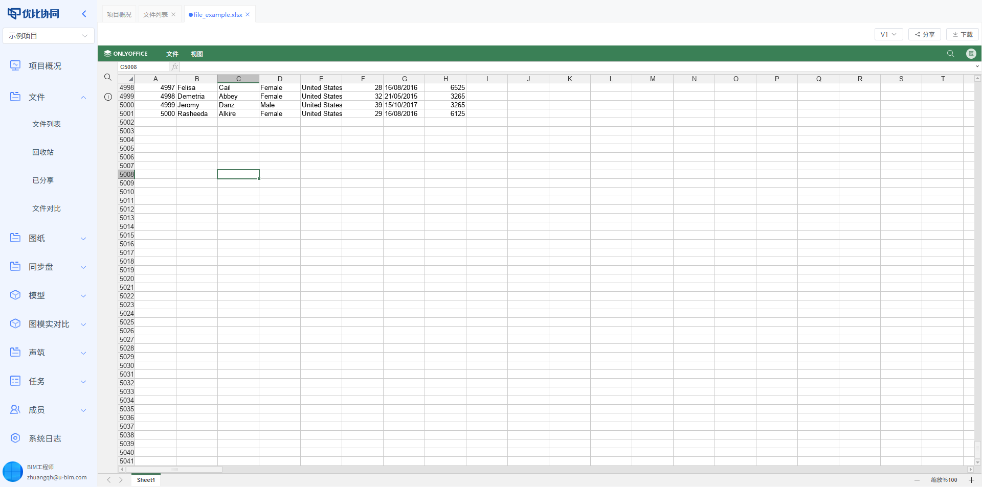 xlsx